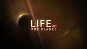 Sección visual de La vida en nuestro planeta (Serie de TV) - FilmAffinity