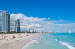 Conheça as melhores praias da Flórida saindo desde Miami | Qual Viagem