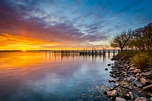 Chesapeake Bay experiencing remarkable habitat recovery • Earth.com