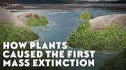 How Plants Caused the First Mass Extinction - YouTube
