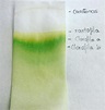Extracción de los pigmentos fotosintéticos