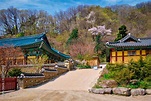 Sinheungsa temple in Seoraksan National Park, Seoraksan, South Korea ...