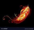 Flaming feather Royalty Free Vector Image - VectorStock