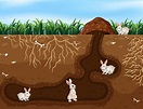 Rabbit Family Living in the Hole 446146 Vector Art at Vecteezy