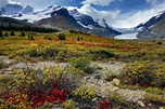 Die Rockies im Herbst... Foto & Bild | nature, herbst, canada Bilder ...