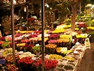 Carpe Diem: Bloemenmark - Mercado de Flores de Amsterdam