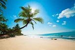 10 fotos de playas tropicales para tus próximas vacaciones... | BANCO ...