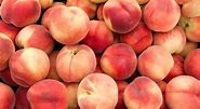 The Five Best Places to Find Peaches in Georgia | Chevy Dealer
