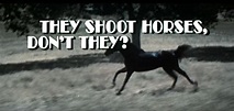 DREAMS ARE WHAT LE CINEMA IS FOR...: THEY SHOOT HORSES, DON'T THEY? 1969
