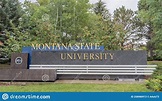 Cartaz Da Universidade Estadual Montana Foto de Stock Editorial ...