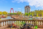 The Best Things to See and Do in Rotterdam, Netherlands, in a Day