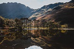 Buttermere Pines, Lake District - Shoot from the Trip