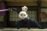 Primer vistazo a Samurai Rabbit: The Usagi Chronicles de Netflix ...