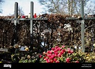 Grave of Sophie Scholl, Hans Scholl, and Christoph Probst from the ...