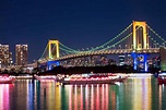 rainbow-bridge - Tokyo Night Owl