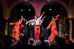 Seville: Authentic Flamenco Show - Museo del Baile Flamenco tickets ...