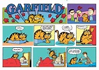 It's Garfield's 40th Birthday! See 5 of His Classic Comics (Including ...