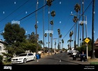 West Adams neighborhood, Palm Trees, Los Angeles, California, USA Stock ...