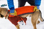 Ruffwear Powder Hound Insulated Dog Jacket Keeps Tripawds Warm