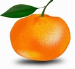 Tangerine Free Picture PNG | PNG Play