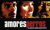 'Amores Perros' a 20 años de cambiar el cine mexicano