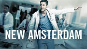 New Amsterdam: la serie en Netflix que encanta a los ticos y que basa ...