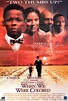 Once Upon a Time... When We Were Colored 1995 U.S. One Sheet Poster ...