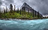 Wild river wallpapers and images - wallpapers, pictures, photos