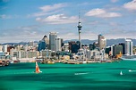 Vielseitiges Auckland in Neuseeland | Urlaubsguru.at