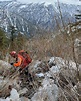 Remains found in California mountains confirmed to be those of Julian Sands