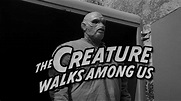 The Creature Walks Among Us (1956) – FilmNerd