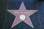 Hollywood Walk of Fame: The Most and Least Popular Stars