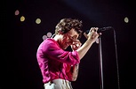 Harry Styles at the Forum in Los Angeles | Harry styles concert, Harry ...