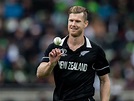 James Neesham Gives A Befitting Response To A User