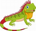 Cute dibujos animados de iguana | Vector Premium