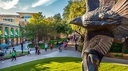 All About UNT | University of North Texas | University of North Texas