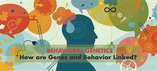 Behavioral Genetics - How are Genes and Behavior Linked?