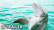 DOLPHIN ISLAND (2021) Trailer 🐬🏝️ | Tyler Jade Nixon Movie - YouTube
