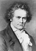 ¿Quién fue Beethoven? (Biografía resumida) - Saber es práctico