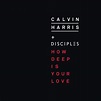 Calvin Harris – How Deep Is Your Love Lyrics | Genius
