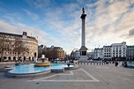 London Monument Sights Walking Tour - City Wonders