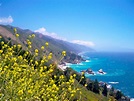 File:Big Sur Coast California.JPG - Wikimedia Commons