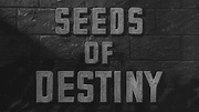 Seeds of Destiny (1946) - Backdrops — The Movie Database (TMDB)