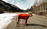 [Review] The Powder Hound Jacket by Ruffwear – Adventure Rig