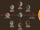 How to Make a Moon Phases Chart: 13 Steps (with Pictures)
