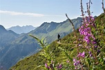 Panoramaweg Wiedersberger Horn • Wanderung » outdooractive.com