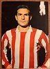 feliciano rivilla (atlético de madrid). postal - Comprar Postales ...