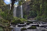 Pure New Zealand | Whangarei Falls, Northland; A sub-tropica… | Flickr