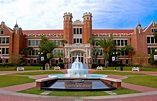 The Patriot : College reviews: University of Florida