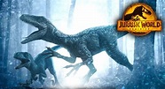Jurassic World Dominion: Blue Beta Forest Hunt Poster Officially ...